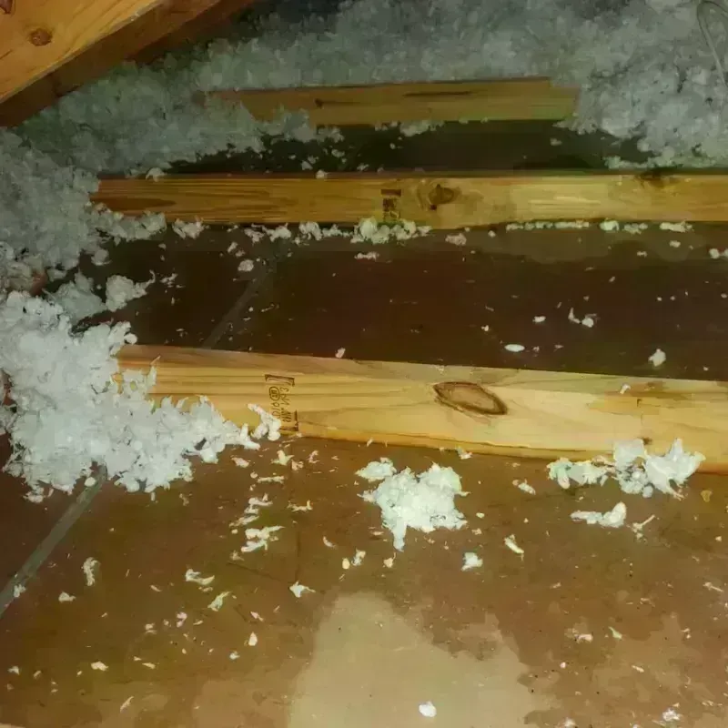 Attic Water Damage in Waipahu, HI